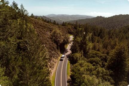 Bosque International