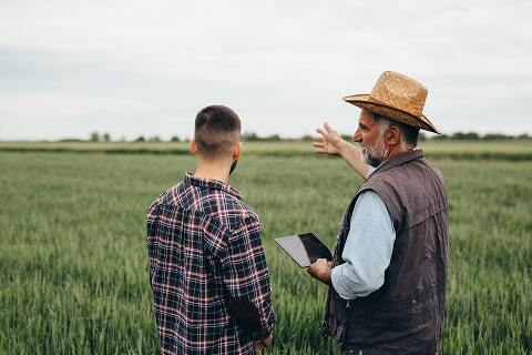 Bosque International