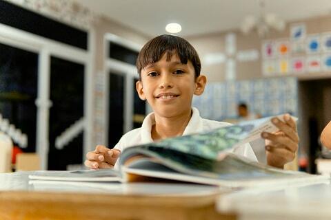 Bosque International